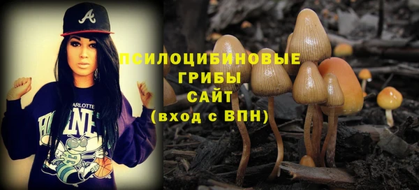 твердый Гусиноозёрск